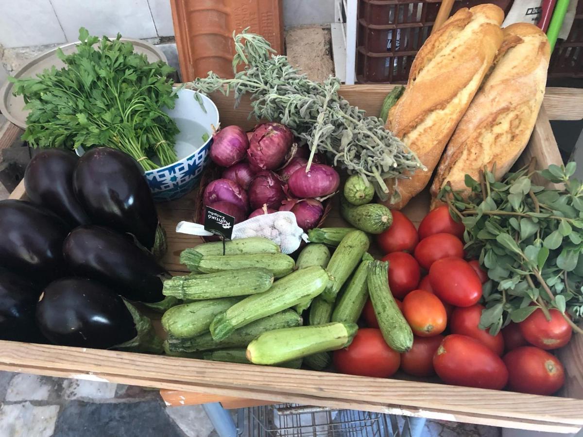 Gabriellas Garden Paleókasztro Kültér fotó