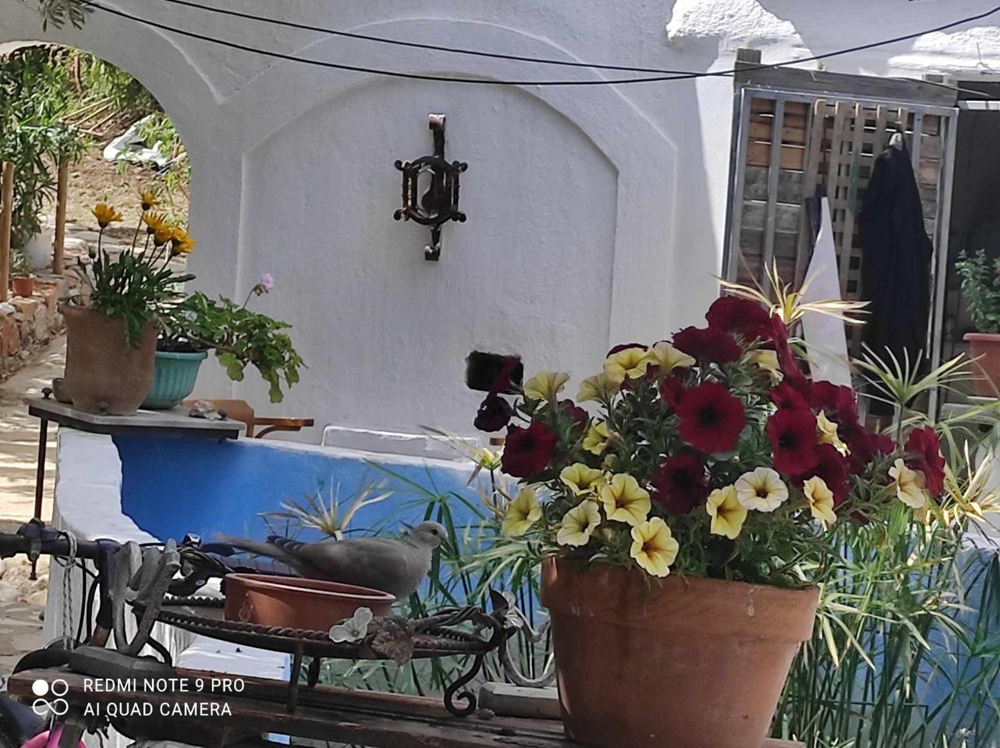 Gabriellas Garden Paleókasztro Kültér fotó