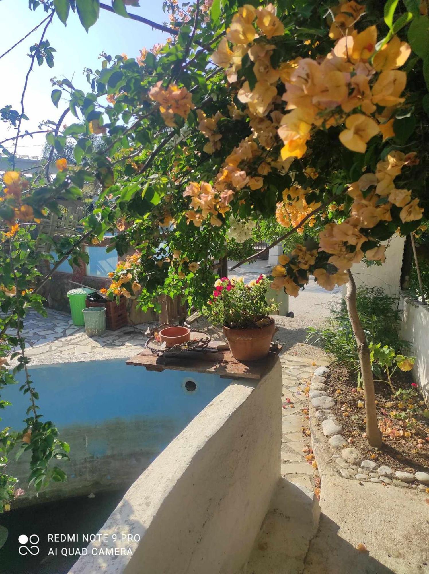 Gabriellas Garden Paleókasztro Kültér fotó
